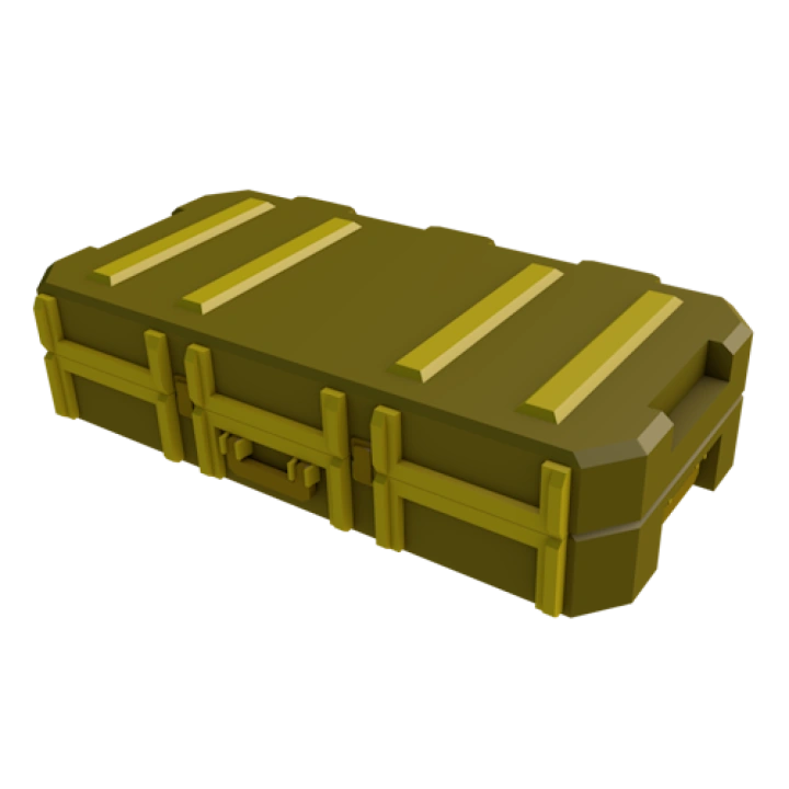 Skin Case 2 (1x)